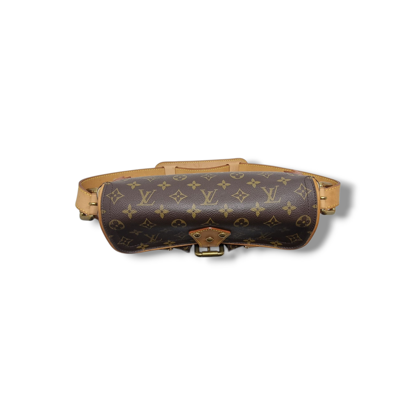 Louis Vuitton Hudson PM Monogram Ghw