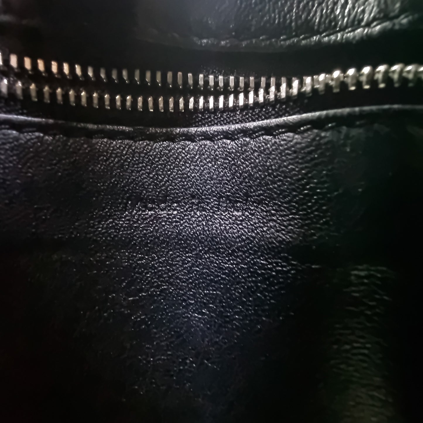 Celine Python Leather Edge Large Shoulder Bag Shw (Black)