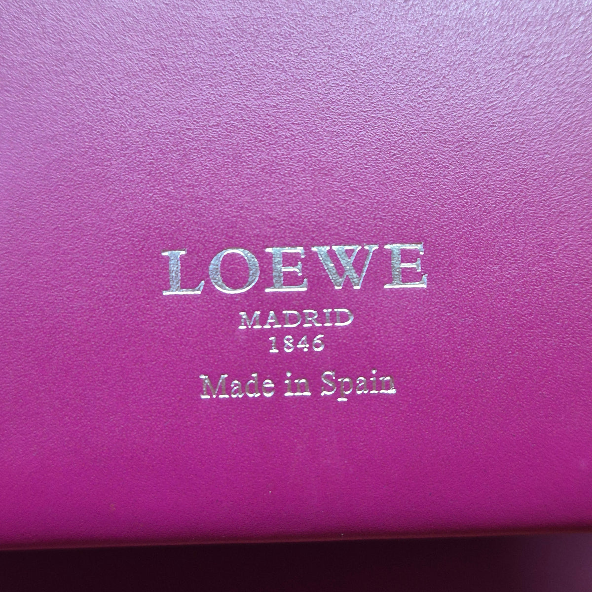 Loewe Leo Leather Tote Shw (Fuchsia/Orange)