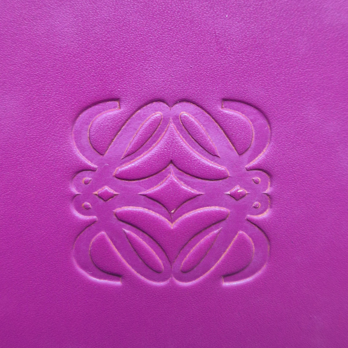 Loewe Leo Leather Tote Shw (Fuchsia/Orange)