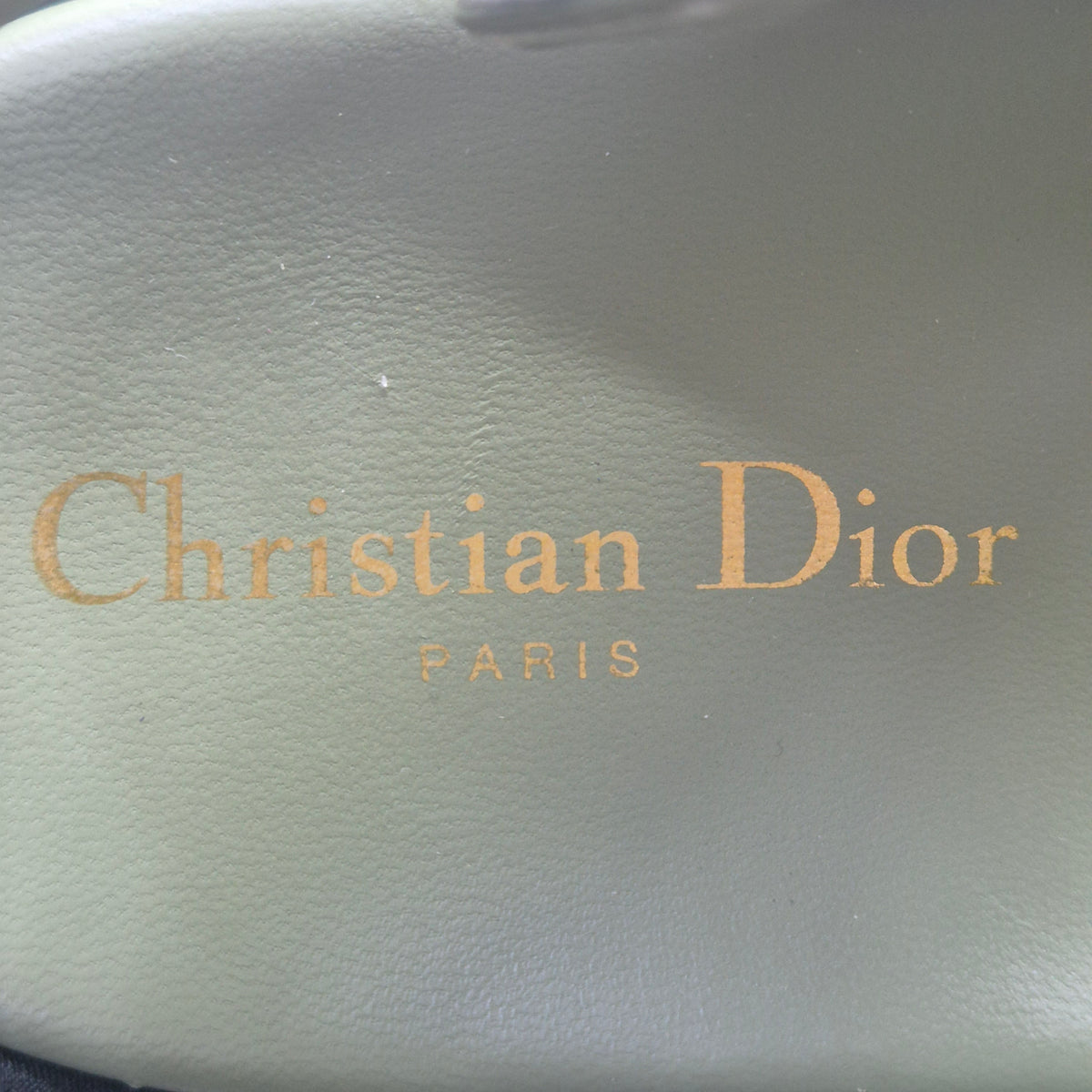 Christian Dior Dioract Lambskin Sandal Ghw (Pastel Peyote Green)