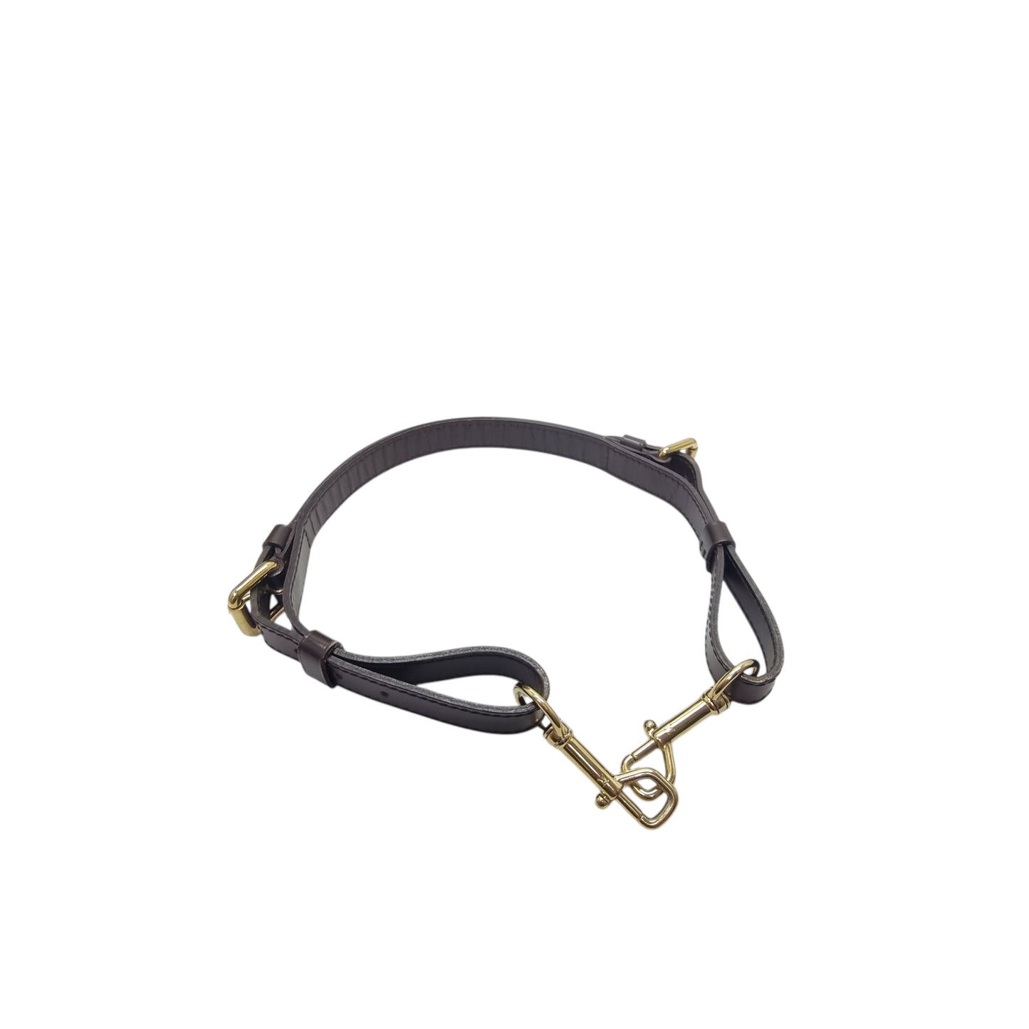 Louis Vuitton Trevi PM Damier Ebene Ghw