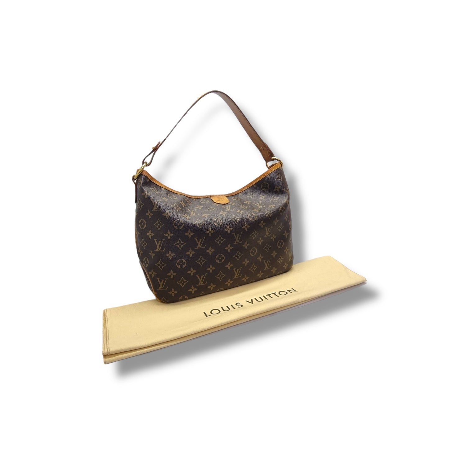 Louis Vuitton Delightful PM Monogram Ghw