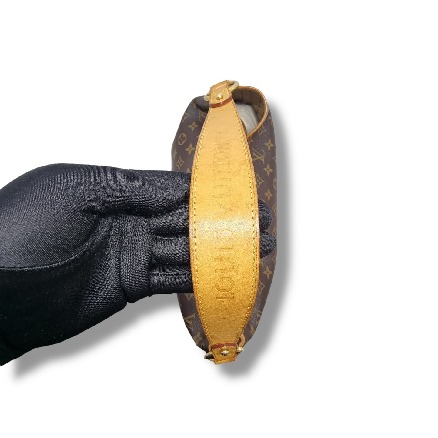 Louis Vuitton Delightful PM Monogram Ghw