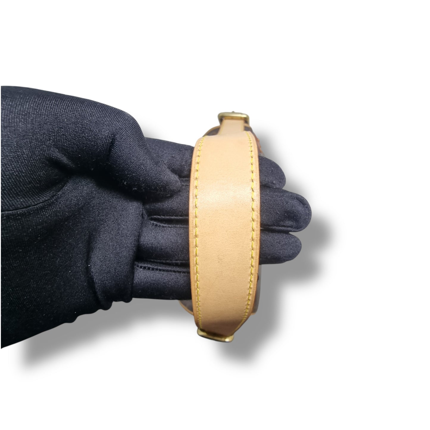 Louis Vuitton Hudson PM Monogram Ghw