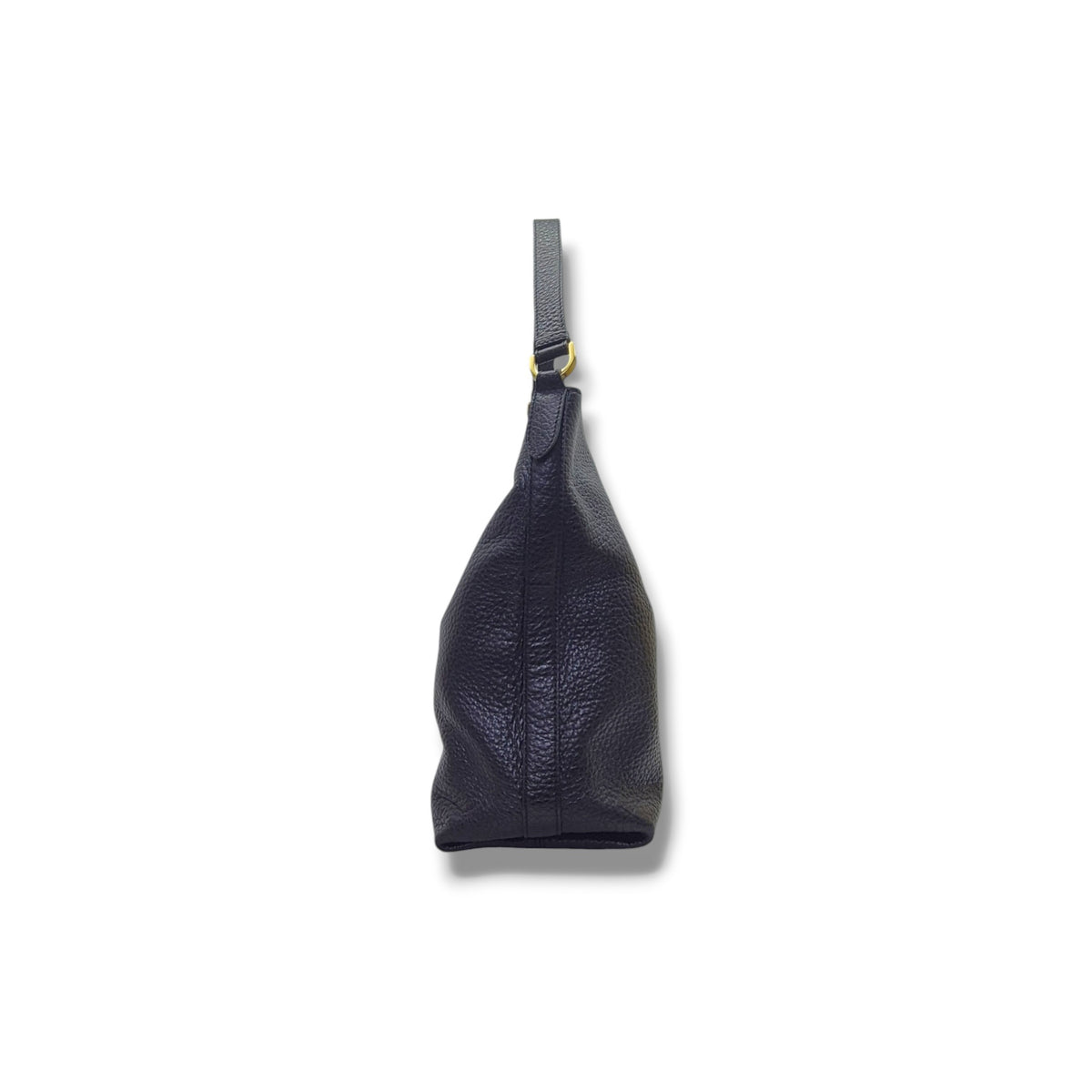 Fendi Chameleon Slouching Hobo Bag Ghw (Black)