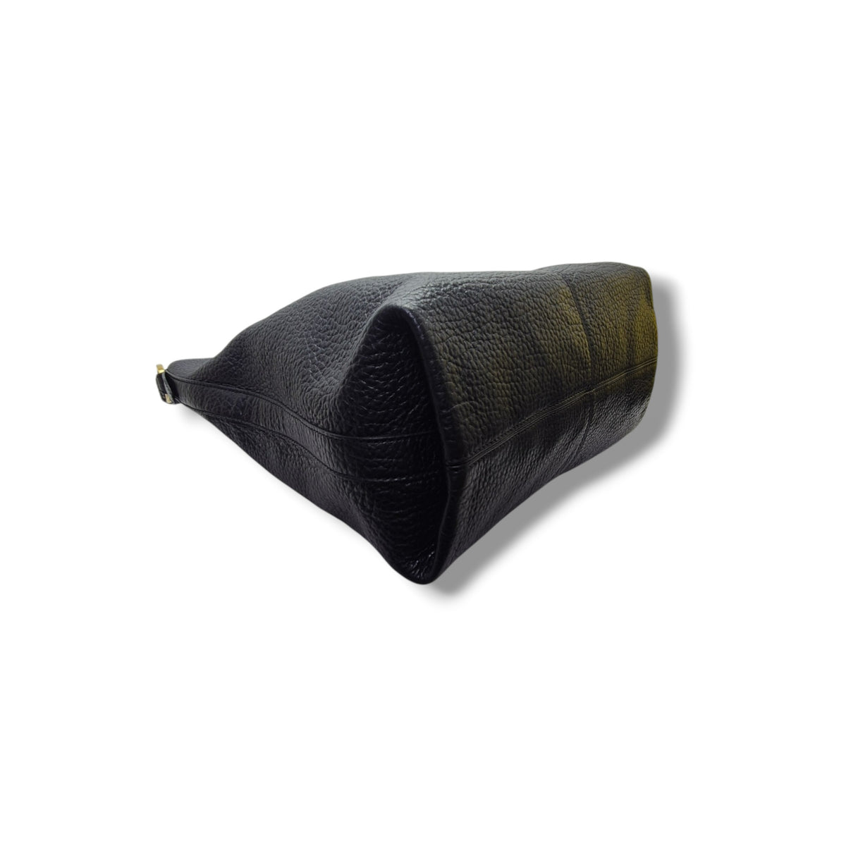 Fendi Chameleon Slouching Hobo Bag Ghw (Black)
