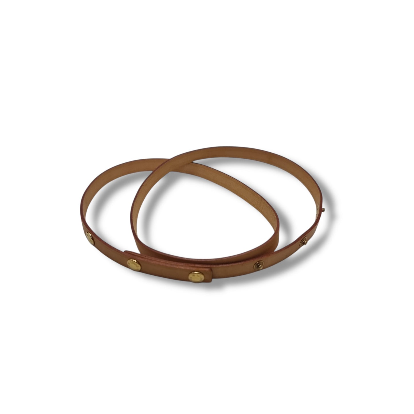 Louis Vuitton Pochette Florentine Belt Bag Monogram Ghw