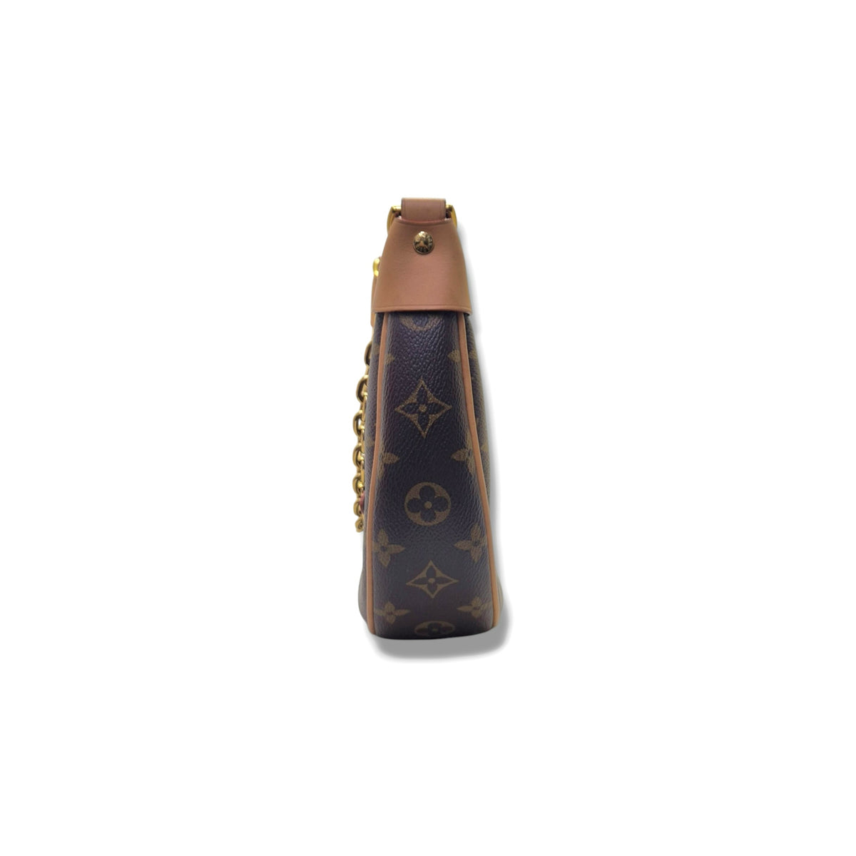 Louis Vuitton Loop Bag Monogram Ghw