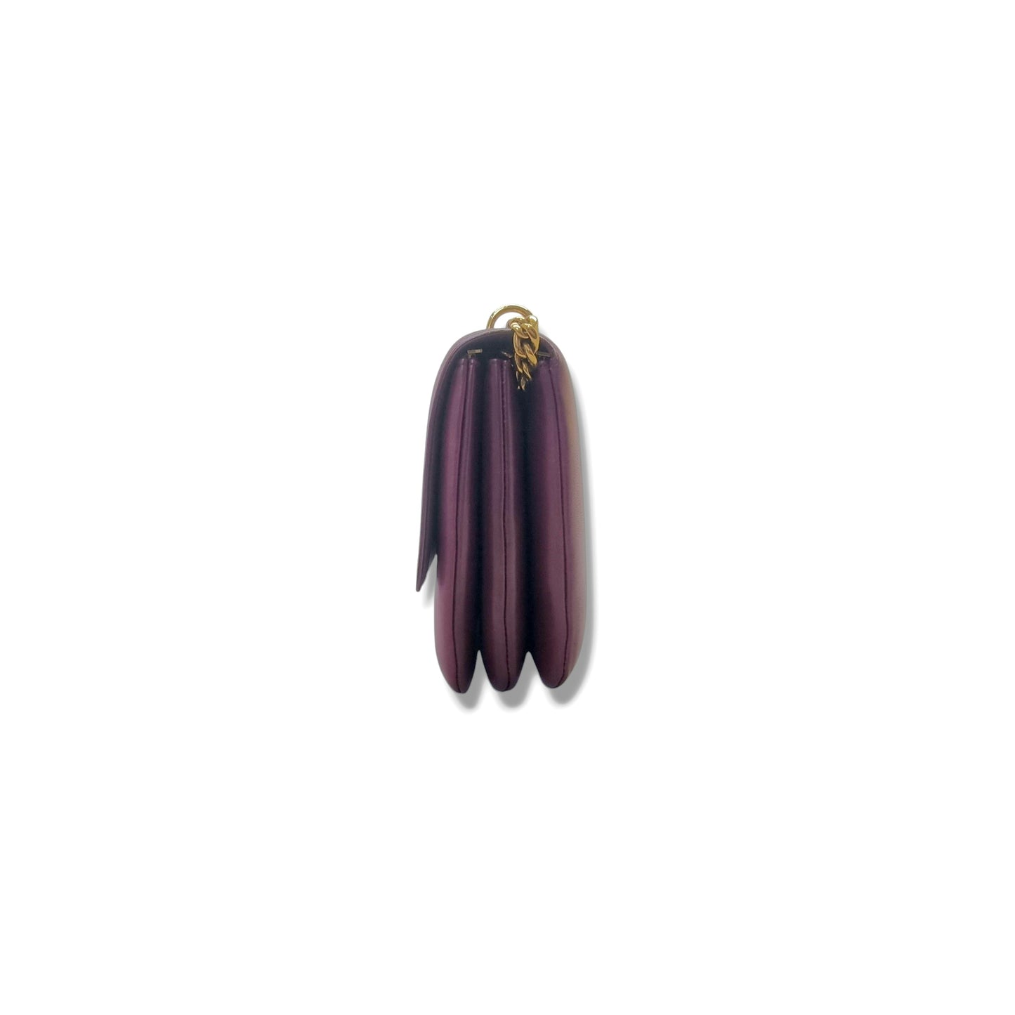 Celine Coin Flap Leather Sling Bag Ghw (Burgundy)