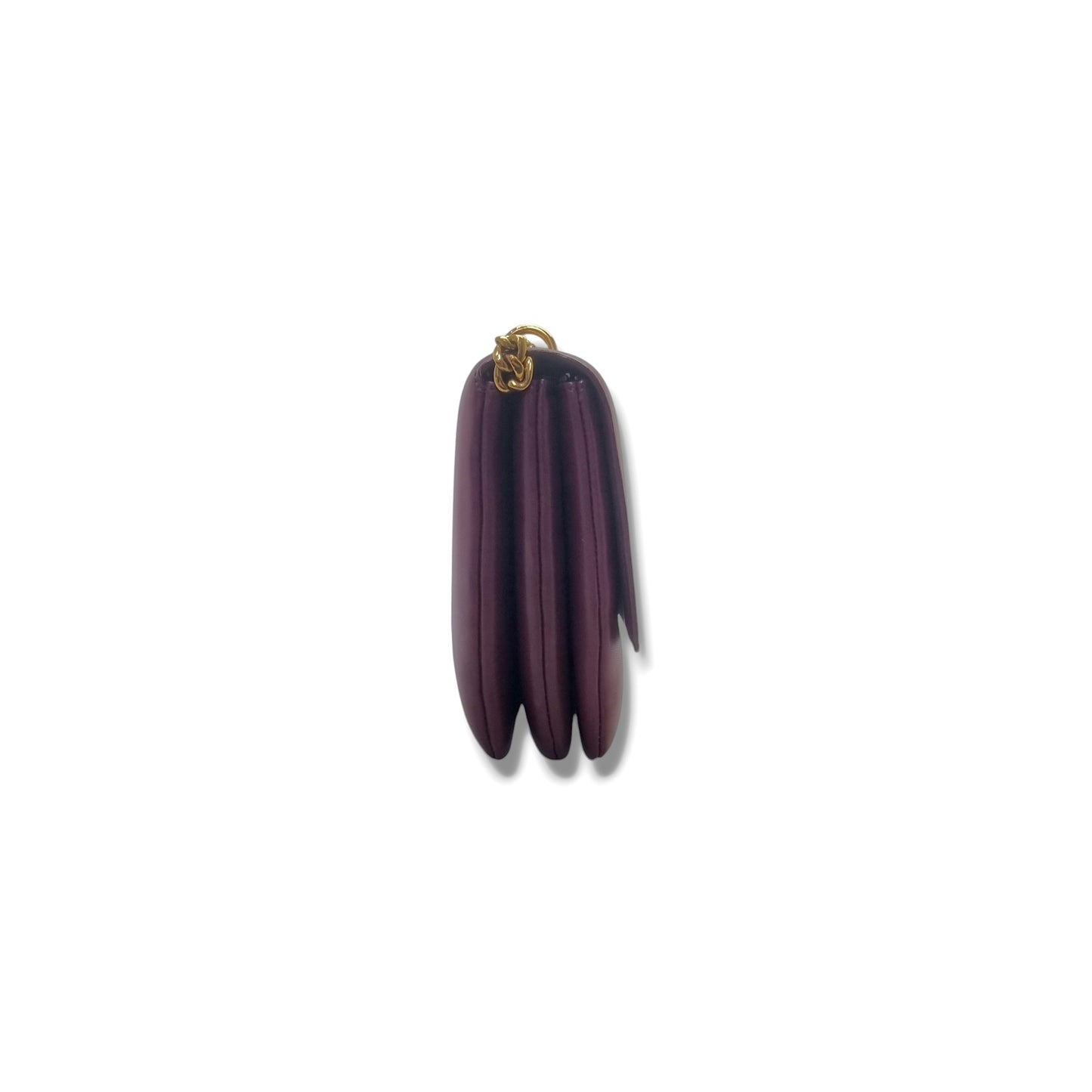 Celine Coin Flap Leather Sling Bag Ghw (Burgundy)