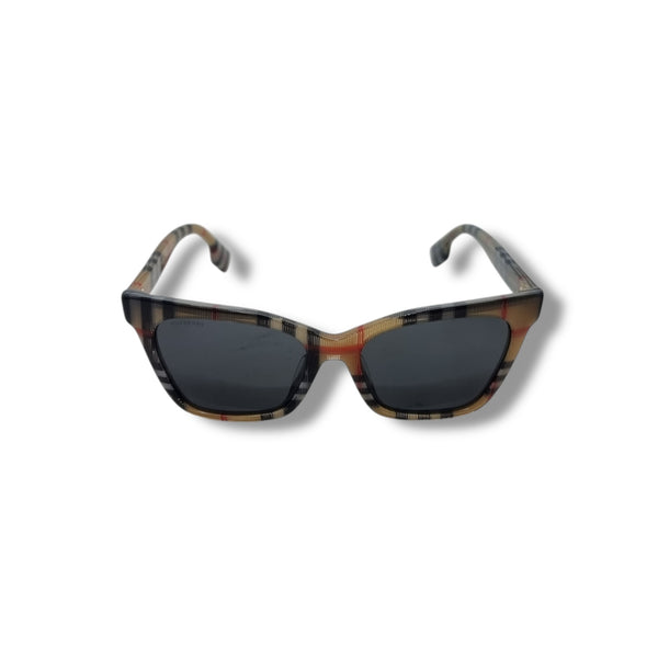 Burberry Elsa Acetate Sunglasses (Brown Vintage Check)