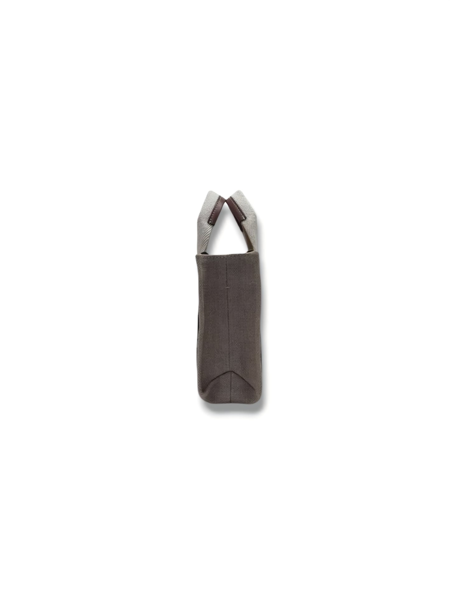 Chloe Mini Woody Tote Bag In Linen (Brown)