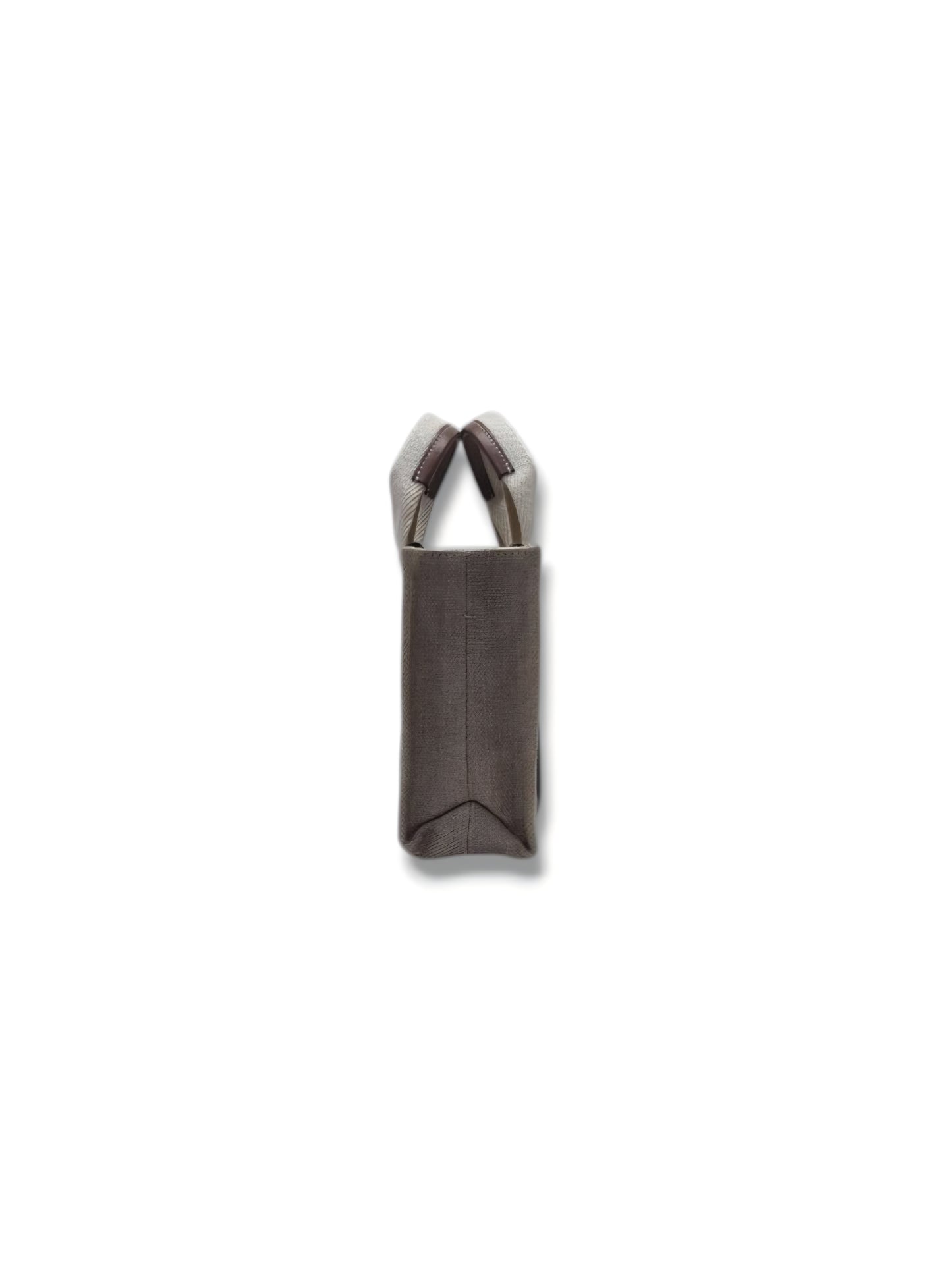 Chloe Mini Woody Tote Bag In Linen (Brown)