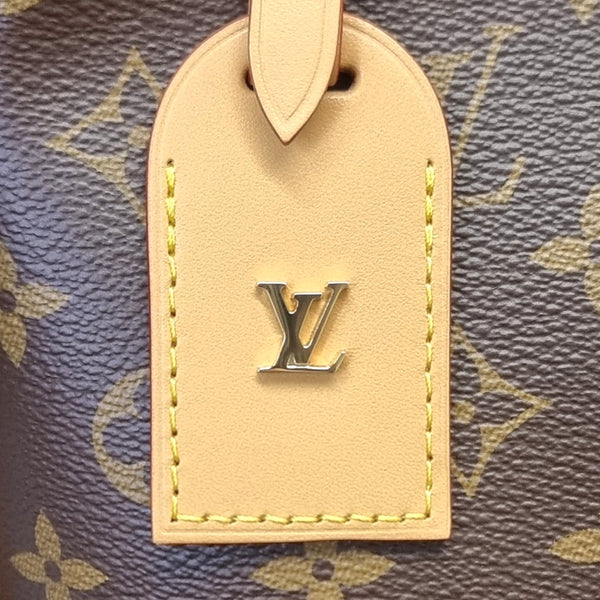 Louis Vuitton CarryAll PM Monogram Ghw