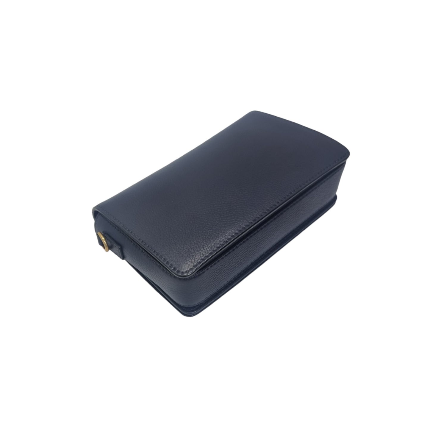 Christian Dior Dio(r)evolution Leather Crossbody Ghw (Navy Blue)