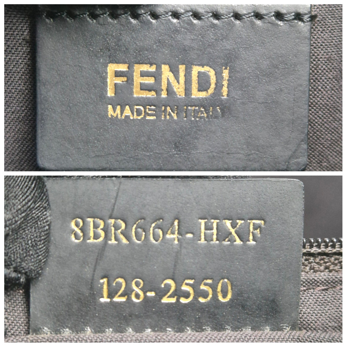Fendi Chameleon Slouching Hobo Bag Ghw (Black)