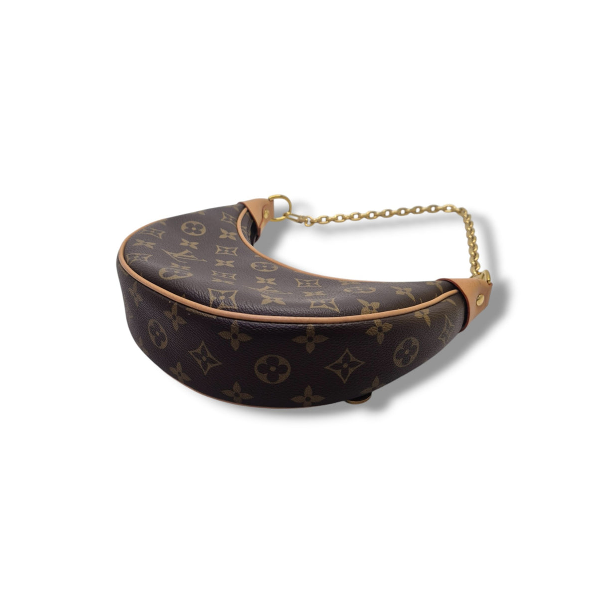 Louis Vuitton Loop Bag Monogram Ghw