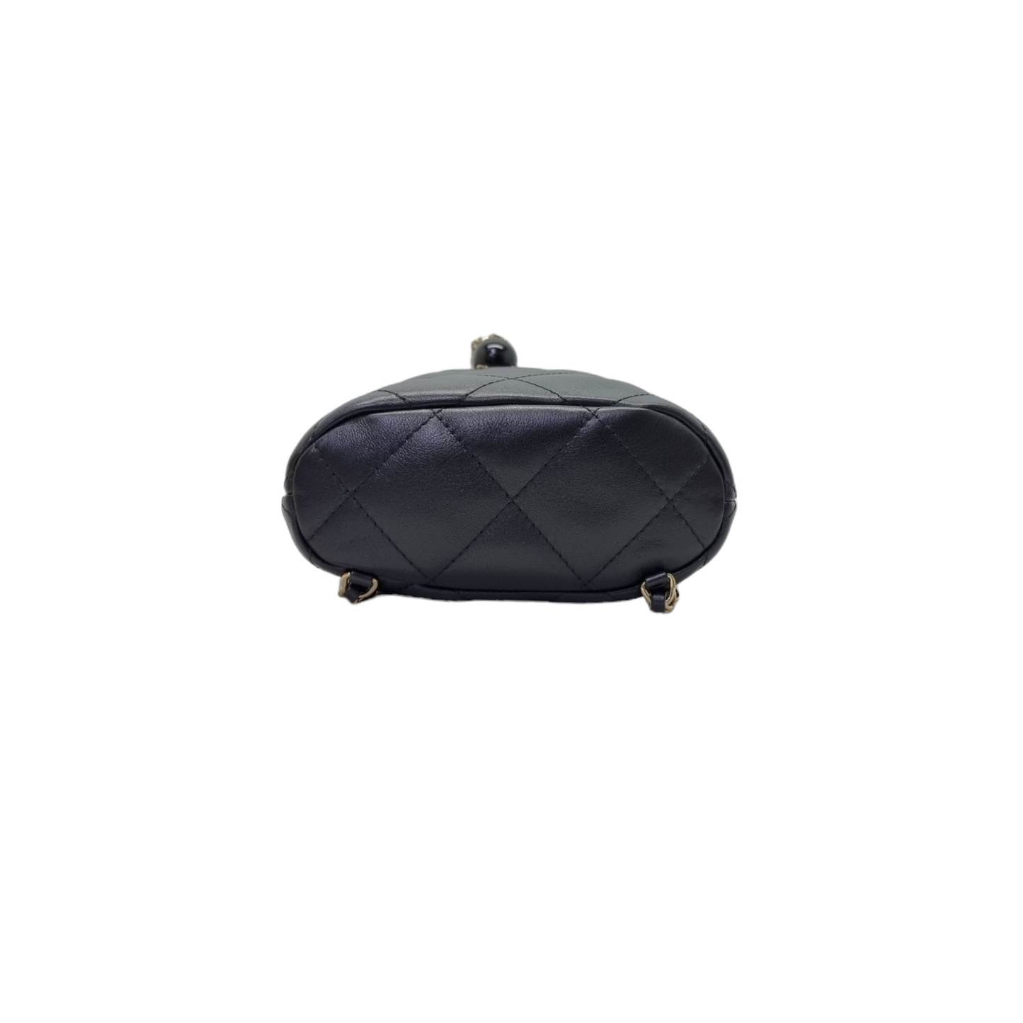 Chanel Backpack Shiny Lambskin Ghw (Black)