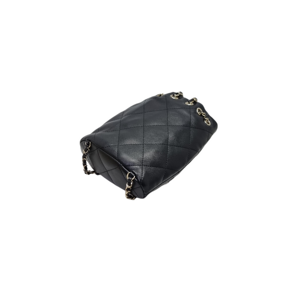 Chanel Backpack Shiny Lambskin Ghw (Black)