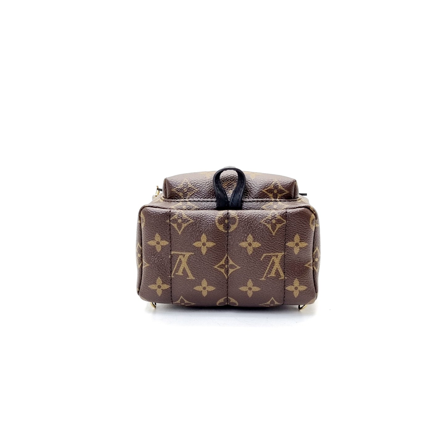 Louis Vuitton Mini Palm Spring World Tour Backpack Monogram Ghw