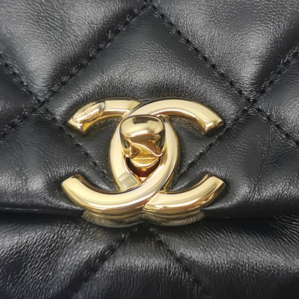 Chanel Mini Flap Bag Shiny Resistant Lambskin Leather Ghw (Black) –  ValiseLaBel